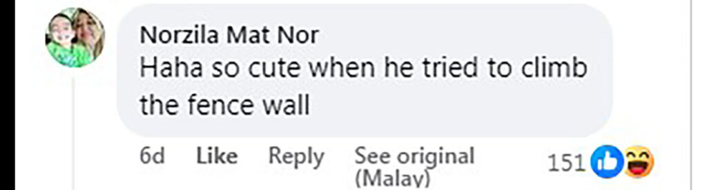 Social media comment on the post of A mother elephant tries to lift her stranded calf over a wall in Malaysia, eventually walking through the entrance to rescue it, in a viral video with 2.1 million views.