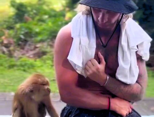 A cheeky monkey in Koh Samui hilariously mistook a man's trousers for a banana stash, creating a viral moment with 1.6M likes on Instagram. Laughter and comments ensued!