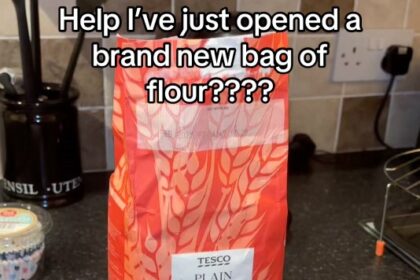 Tesco shopper horrified after discovering an infestation of weevils in a freshly-bought bag of flour, forcing her to throw away the entire shop. Tesco yet to comment.