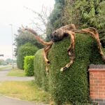 A 6ft wide Halloween spider decoration in Desford, Leicester, has terrified locals, with some even avoiding the road. Spotted early, it's already giving major jump scares!