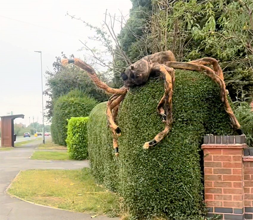 A 6ft wide Halloween spider decoration in Desford, Leicester, has terrified locals, with some even avoiding the road. Spotted early, it's already giving major jump scares!