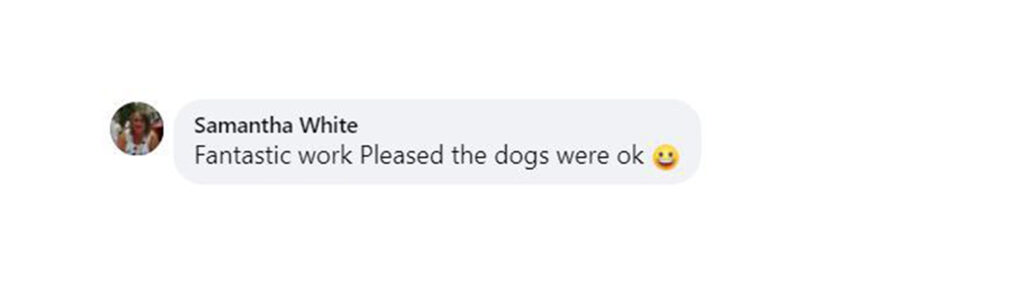 Social media comment on the post of Two hungry boxers start house fire trying to reach cupcakes. Firefighters rescue dogs, using pet oxygen masks to ensure safety. Smoke alarms and quick action save the day.