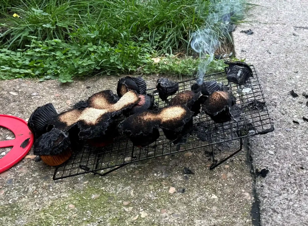 Two hungry boxers start house fire trying to reach cupcakes. Firefighters rescue dogs, using pet oxygen masks to ensure safety. Smoke alarms and quick action save the day.