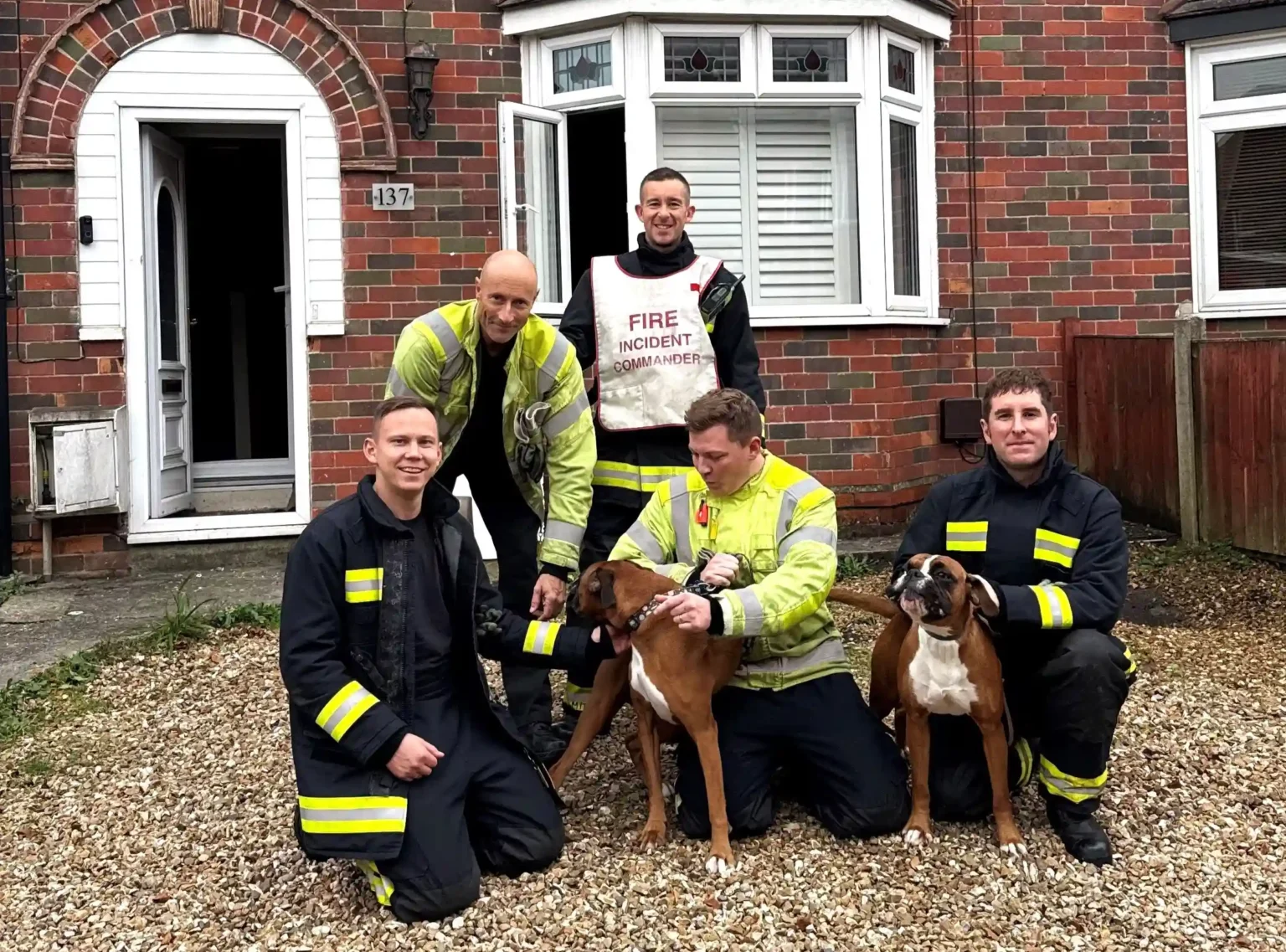 Two hungry boxers start house fire trying to reach cupcakes. Firefighters rescue dogs, using pet oxygen masks to ensure safety. Smoke alarms and quick action save the day.