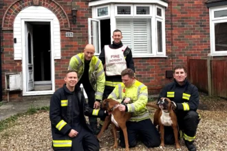 Two hungry boxers start house fire trying to reach cupcakes. Firefighters rescue dogs, using pet oxygen masks to ensure safety. Smoke alarms and quick action save the day.