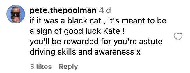 Social media comment on the post of Kate Lawler narrowly avoids running over a cat, describing the terrifying near-miss as heart-stopping. Quick reflexes saved the day, leaving fans praising her driving skills.