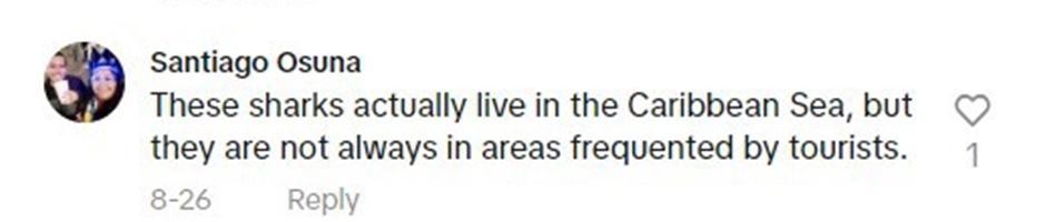 Social media comment on the post of Beachgoers in Cancun scrambled from the sea as a shark prowled near the shore. Lifeguards quickly intervened, calming tourists by guiding the shark away with jet skis.