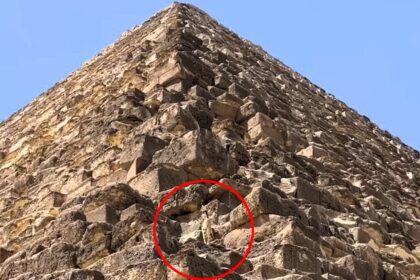 A dog was spotted casually descending the 481-foot Great Pyramid of Giza, navigating the ancient limestone with ease, in a viral video that amazed and amused viewers worldwide.