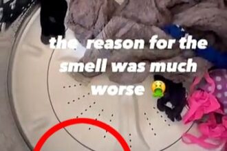 A mum’s viral video reveals the shocking reason her laundry smelled after three washes—a dead mouse in the machine, leaving social media users both horrified and amused.