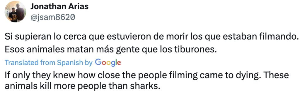 Social media comment on the post OF Drivers in Colombia were shocked to spot one of Pablo Escobar's "cocaine hippos" crossing a road near Doradal. The invasive species continues to roam freely, posing risks to locals.