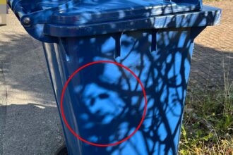 A baffled couple spotted Vladimir Putin's face on a recycling bin, formed by shadows from nearby trees. The uncanny likeness has left friends joking about the eerie sight.