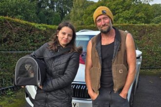 Brave tree surgeon rescues scaredy cat Winnie after she spent three days stuck 70ft up a tree during thunderstorms in Kent, restoring faith in humanity.