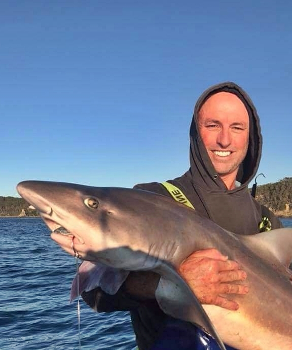 A rare thresher shark with a tail longer than its body washed up on a popular Australian beach, leaving beachgoers stunned by the sight of the endangered deep-sea predator.