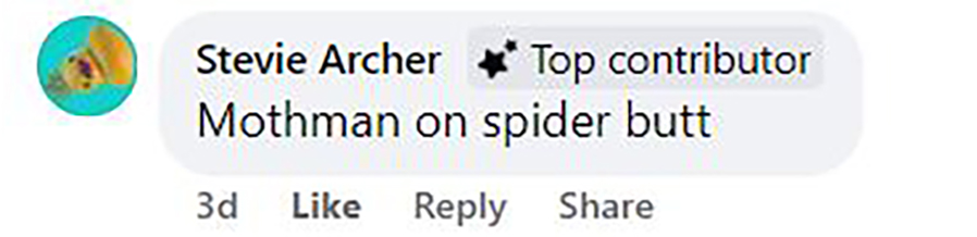 Social media comment on the post of Eerie Mothman figure spotted on a spider’s abdomen in Mississippi backyard, leaving locals spooked and sparking fascination with the legendary cryptid.