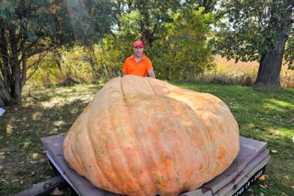 A teacher wins the World Champion Pumpkin Weigh-Off with a colossal 1,121kg squash, named Rudy. Travis Gienger’s giant pumpkin beats competitors and stuns the crowd.