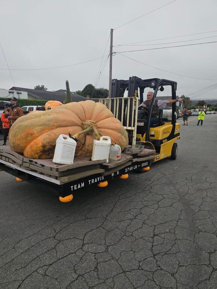 A teacher wins the World Champion Pumpkin Weigh-Off with a colossal 1,121kg squash, named Rudy. Travis Gienger’s giant pumpkin beats competitors and stuns the crowd.