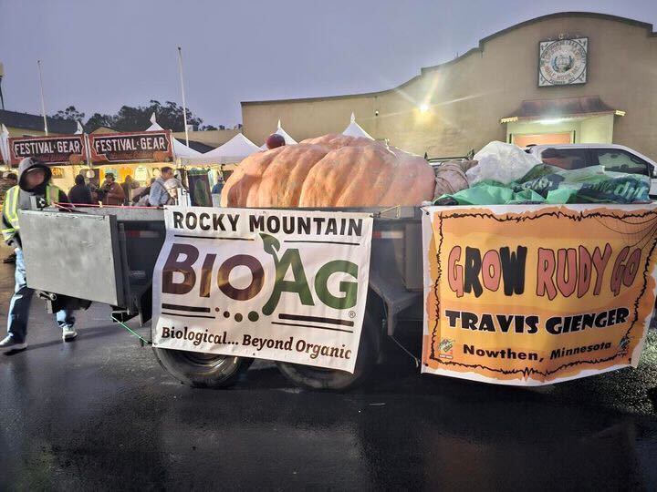 A teacher wins the World Champion Pumpkin Weigh-Off with a colossal 1,121kg squash, named Rudy. Travis Gienger’s giant pumpkin beats competitors and stuns the crowd.