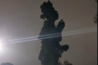 Tree resembling rapper Jay-Z spotted near McDonald's in Buxton, Oregon. Locals amazed by the uncanny silhouette of the Empire State of Mind star.