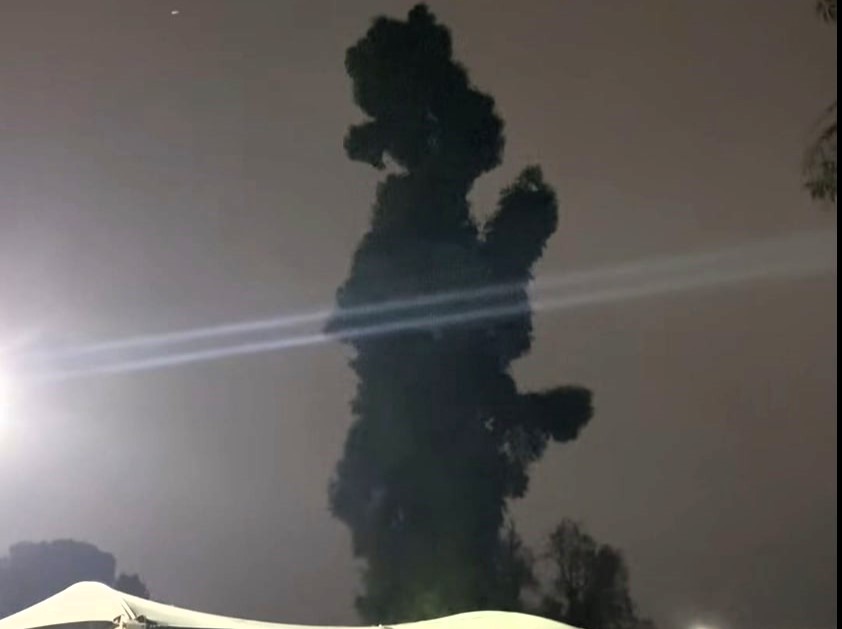 Tree resembling rapper Jay-Z spotted near McDonald's in Buxton, Oregon. Locals amazed by the uncanny silhouette of the Empire State of Mind star.