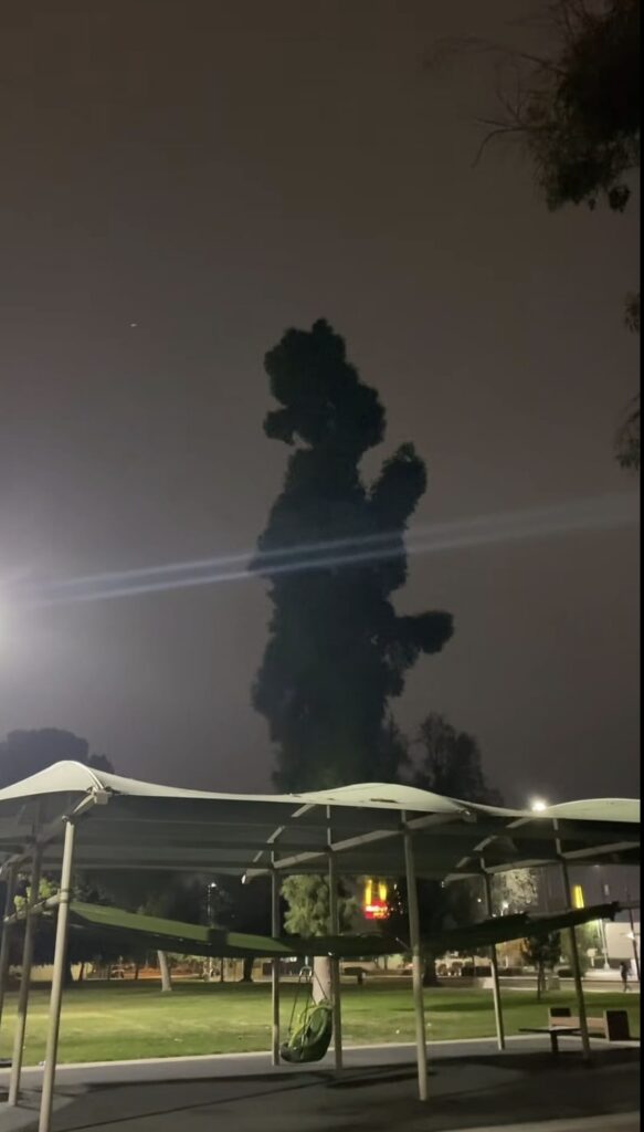 Tree resembling rapper Jay-Z spotted near McDonald's in Buxton, Oregon. Locals amazed by the uncanny silhouette of the Empire State of Mind star.