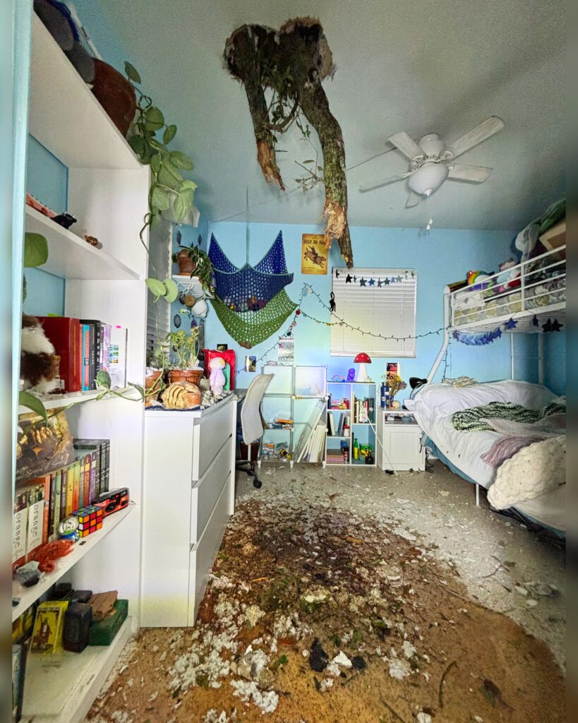 After Hurricane Milton damaged her home, Lorraine C Ladish went viral for decorating a tree branch that crashed through her roof, finding humor and positivity in a tough situation.