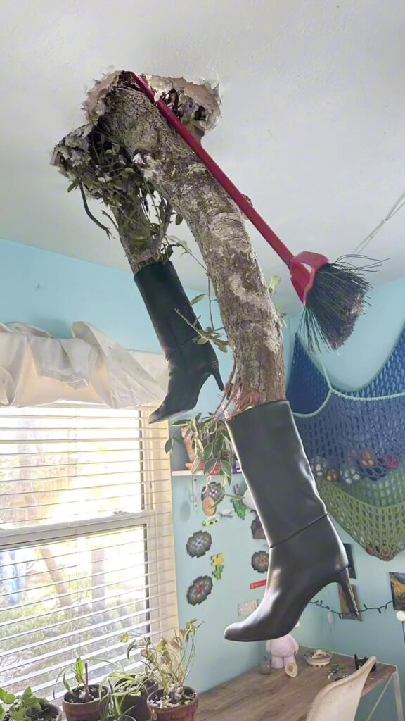 After Hurricane Milton damaged her home, Lorraine C Ladish went viral for decorating a tree branch that crashed through her roof, finding humor and positivity in a tough situation.