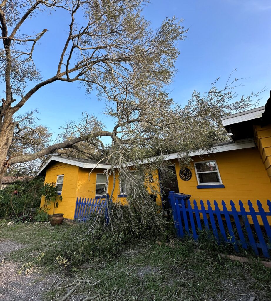 After Hurricane Milton damaged her home, Lorraine C Ladish went viral for decorating a tree branch that crashed through her roof, finding humor and positivity in a tough situation.