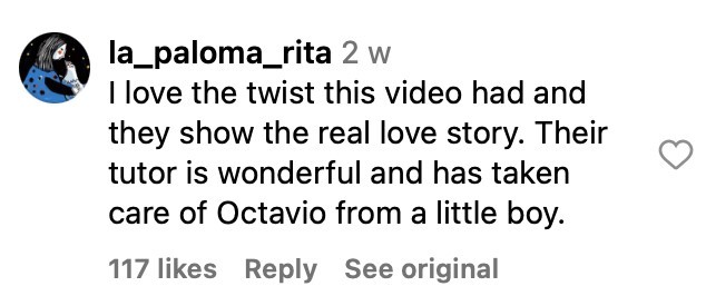 Social media comment on the post of A woman went viral after walking her pet pigeon, Octavio, on a lead. She hopes to change perceptions of pigeons, sharing their bond with her 10,000 followers.