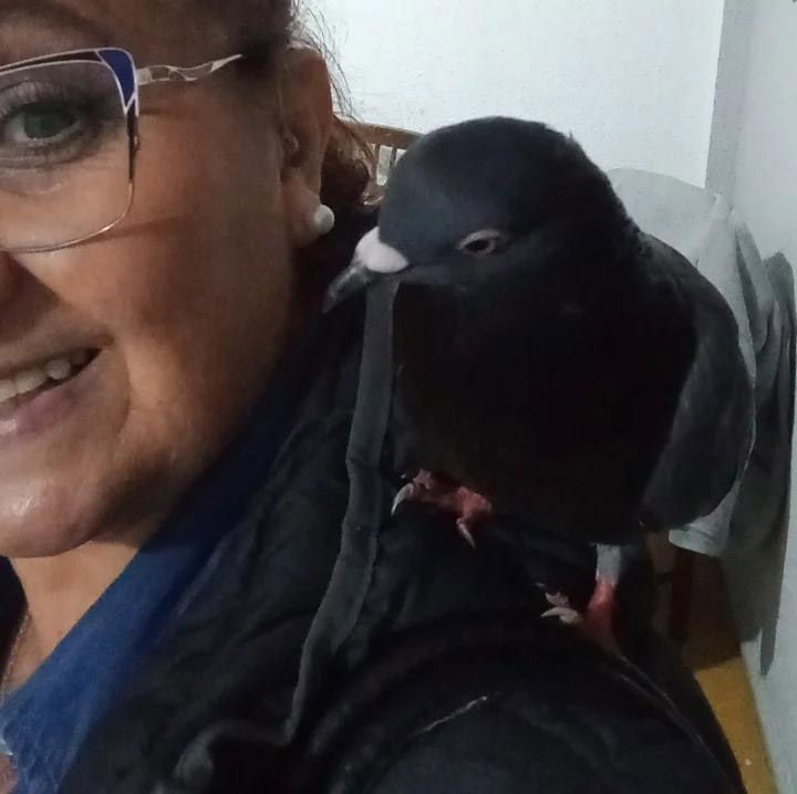 A woman went viral after walking her pet pigeon, Octavio, on a lead. She hopes to change perceptions of pigeons, sharing their bond with her 10,000 followers.