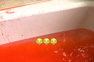 Beauty influencer left horrified after a red bath bomb from Lush turned her tub into a crime scene. Her viral TikTok clip has amassed over 16m views and 1.2m likes.