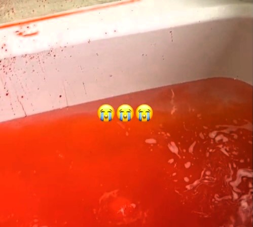 Beauty influencer left horrified after a red bath bomb from Lush turned her tub into a crime scene. Her viral TikTok clip has amassed over 16m views and 1.2m likes.