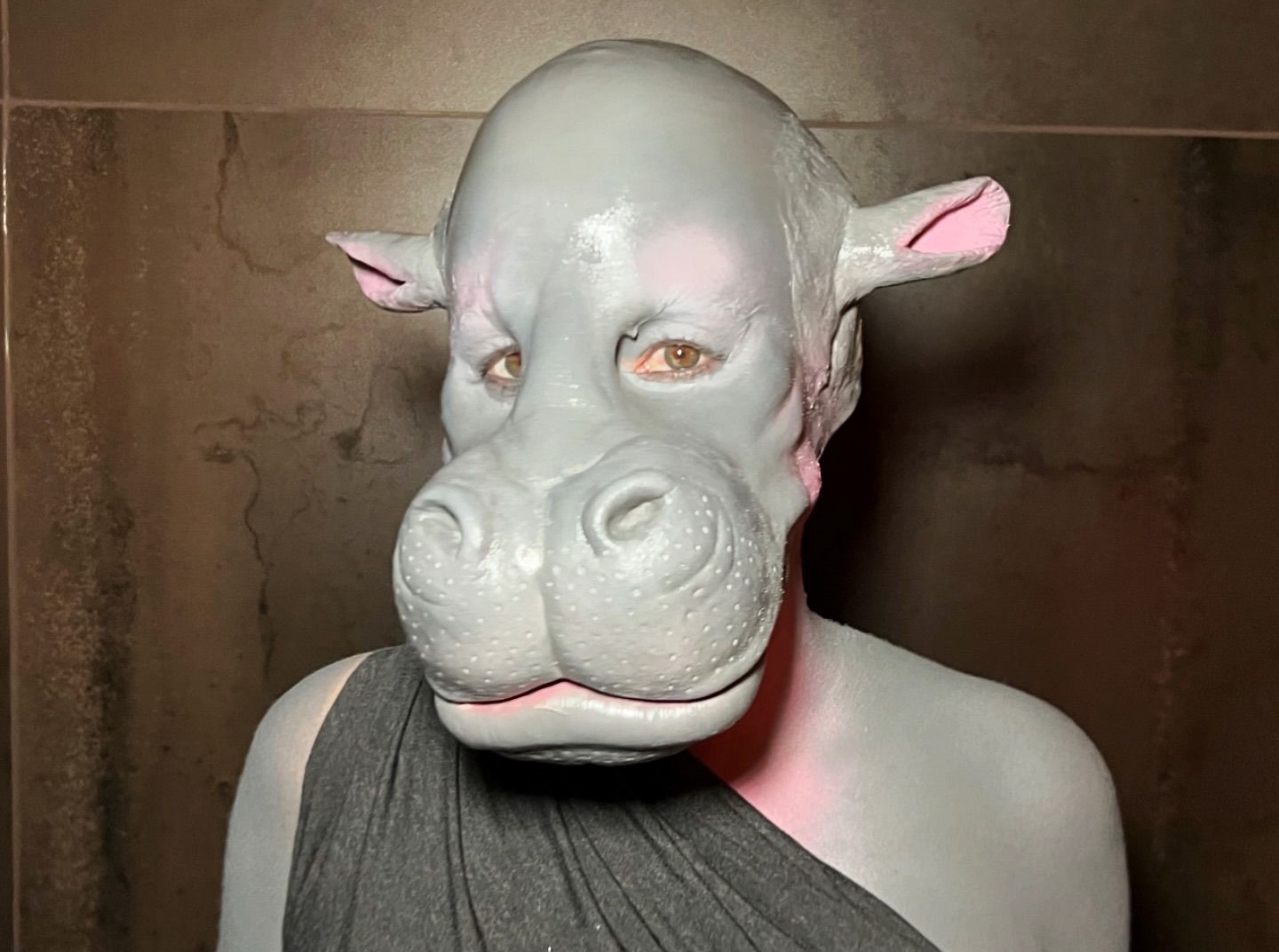 TV host transforms into viral pygmy hippo Moo Deng for Halloween, with a jaw-dropping costume that has fans amazed. 8.3M views and counting!