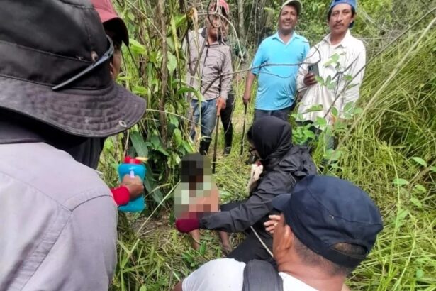 A nine-year-old boy was found alive after surviving a week in the jungle during Hurricane Milton, drinking puddle water and following the stars to stay safe before being rescued.