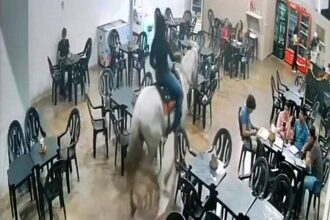 A "drunk" woman shocks diners by riding a horse into a Brazilian snack bar, captured on video. Owner sees humor, and the viral moment brings a business boom.