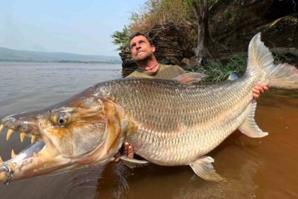 British fisherman David Watmough shares thrilling tales of catching river monsters worldwide, from Goliath Tiger Fish to 220lb catfish, facing extreme risks along the way.