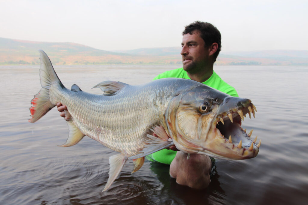 British fisherman David Watmough shares thrilling tales of catching river monsters worldwide, from Goliath Tiger Fish to 220lb catfish, facing extreme risks along the way.