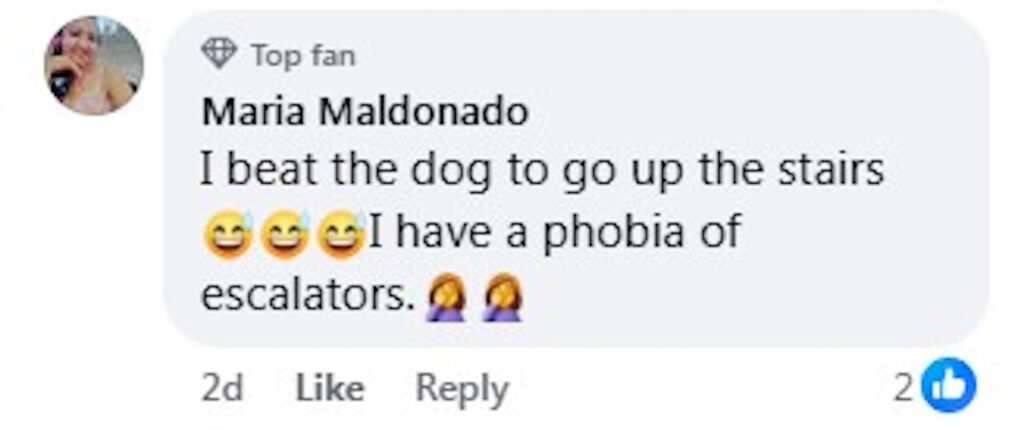 Social media comment on the post of Adorable French Bulldog stuns Medellín shoppers by expertly riding escalators, but vets warn of serious risks to pets' paws and safety on moving stairs.