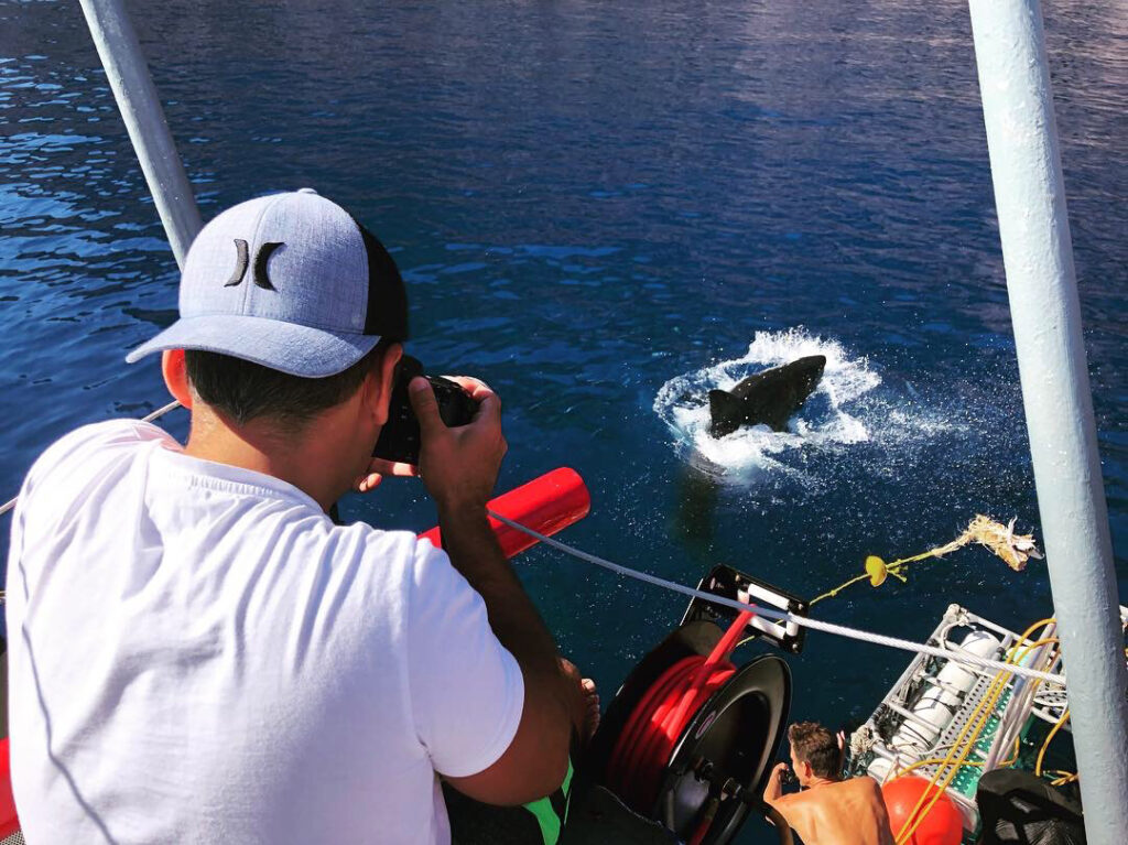 52-foot realistic whale model stuns locals at Caspian Sea in Baku, Azerbaijan, raising awareness for ocean conservation at COP29 climate conference.