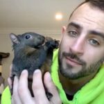 Social media star Peanut the squirrel, euthanised after DEC intervention, sparks £121,000 in donations and a memorial t-shirt fundraiser for animal rescue.