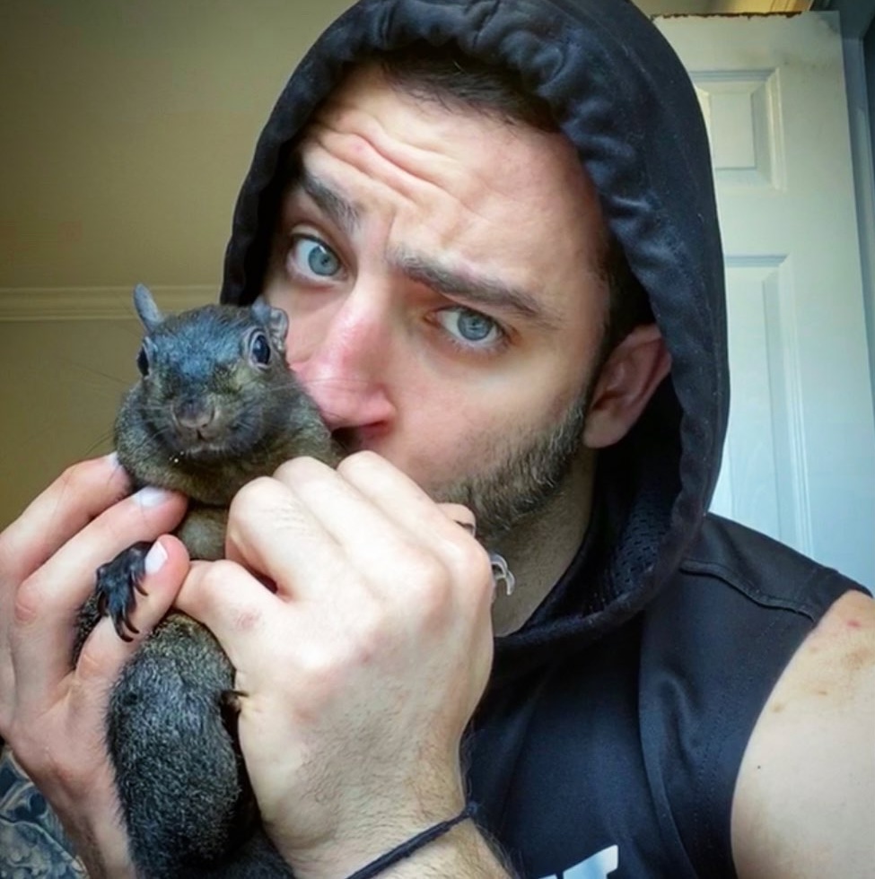 Social media star Peanut the squirrel, euthanised after DEC intervention, sparks £121,000 in donations and a memorial t-shirt fundraiser for animal rescue.