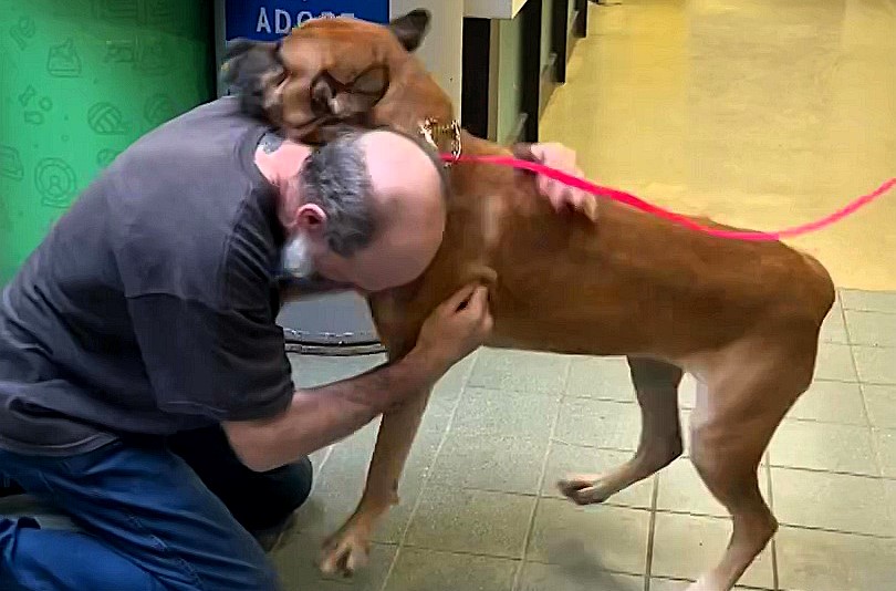 Heartwarming reunion: Man and dog Minnie reunite after 750 days apart due to illness; emotional moment captures the joy of a bond that endured through hardship.