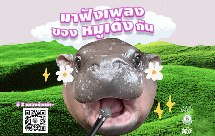 Viral pygmy hippo Moo Deng bounces back with a new pop song, ‘Moodeng Moodeng,’ aiming to win over fans worldwide. Listen now on YouTube, Spotify, and more!