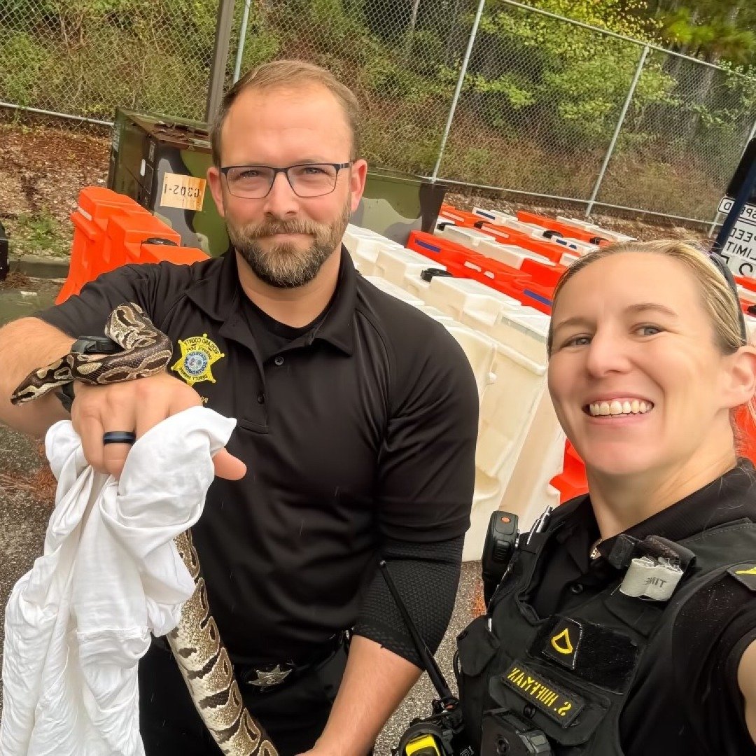 shelby township police spent wednesday night digging a... Ssshocked woman stunned to find snake lurking behind toilet as she nips ...