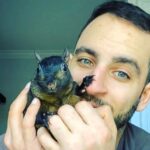 Beloved Instagram squirrel Peanut, with 500,000 followers, seized by New York DEC, leaving owner devastated and fans rallying with petitions and donations for his return.