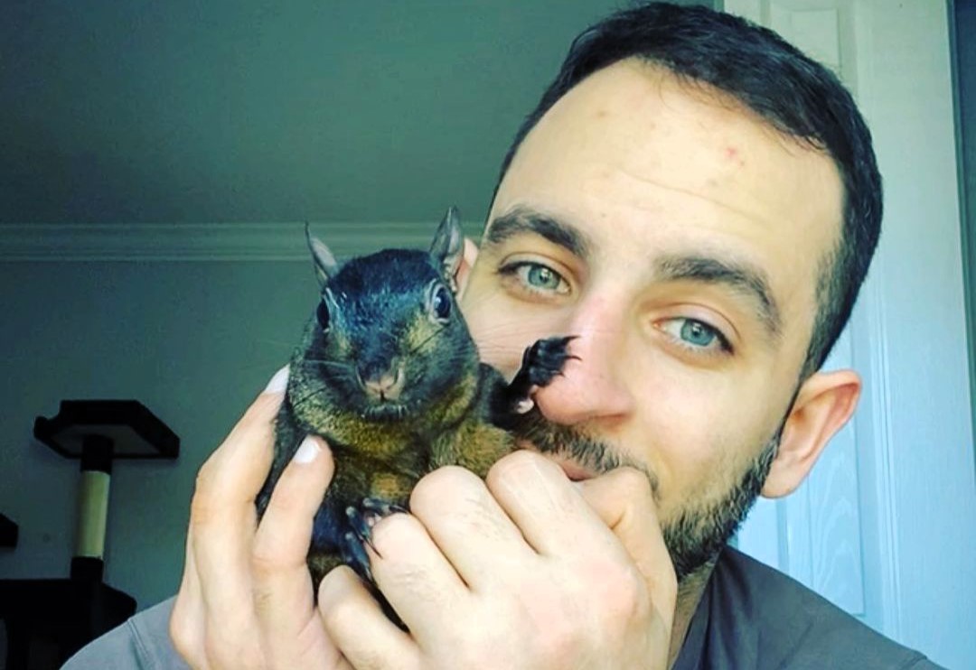 Beloved Instagram squirrel Peanut, with 500,000 followers, seized by New York DEC, leaving owner devastated and fans rallying with petitions and donations for his return.