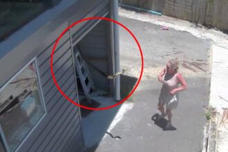 A woman on Australia’s Gold Coast was shocked when a giant snake swung out from her garage roof as she opened the door, sparking viral reactions to the dramatic CCTV footage.