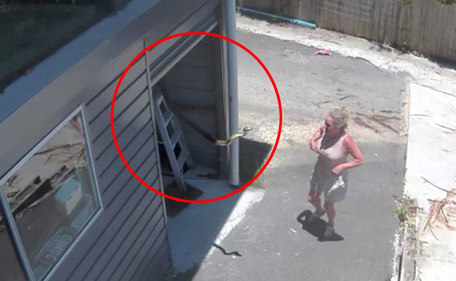 A woman on Australia’s Gold Coast was shocked when a giant snake swung out from her garage roof as she opened the door, sparking viral reactions to the dramatic CCTV footage.