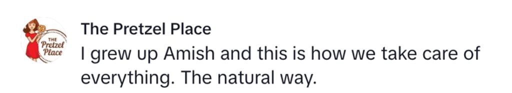 Social media comment on the post of Woman goes viral with 18M TikTok views after trying Amish onion poultice for persistent cough.