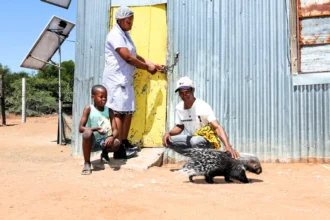 Meet Baby, the 9-month-old porcupine raised as part of a loving family in South Africa—snuggling, picky eating, and nightly homecomings make him truly one of a kind!