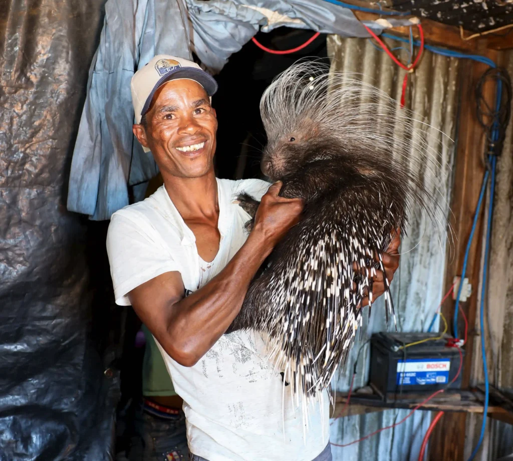 Meet Baby, the 9-month-old porcupine raised as part of a loving family in South Africa—snuggling, picky eating, and nightly homecomings make him truly one of a kind!